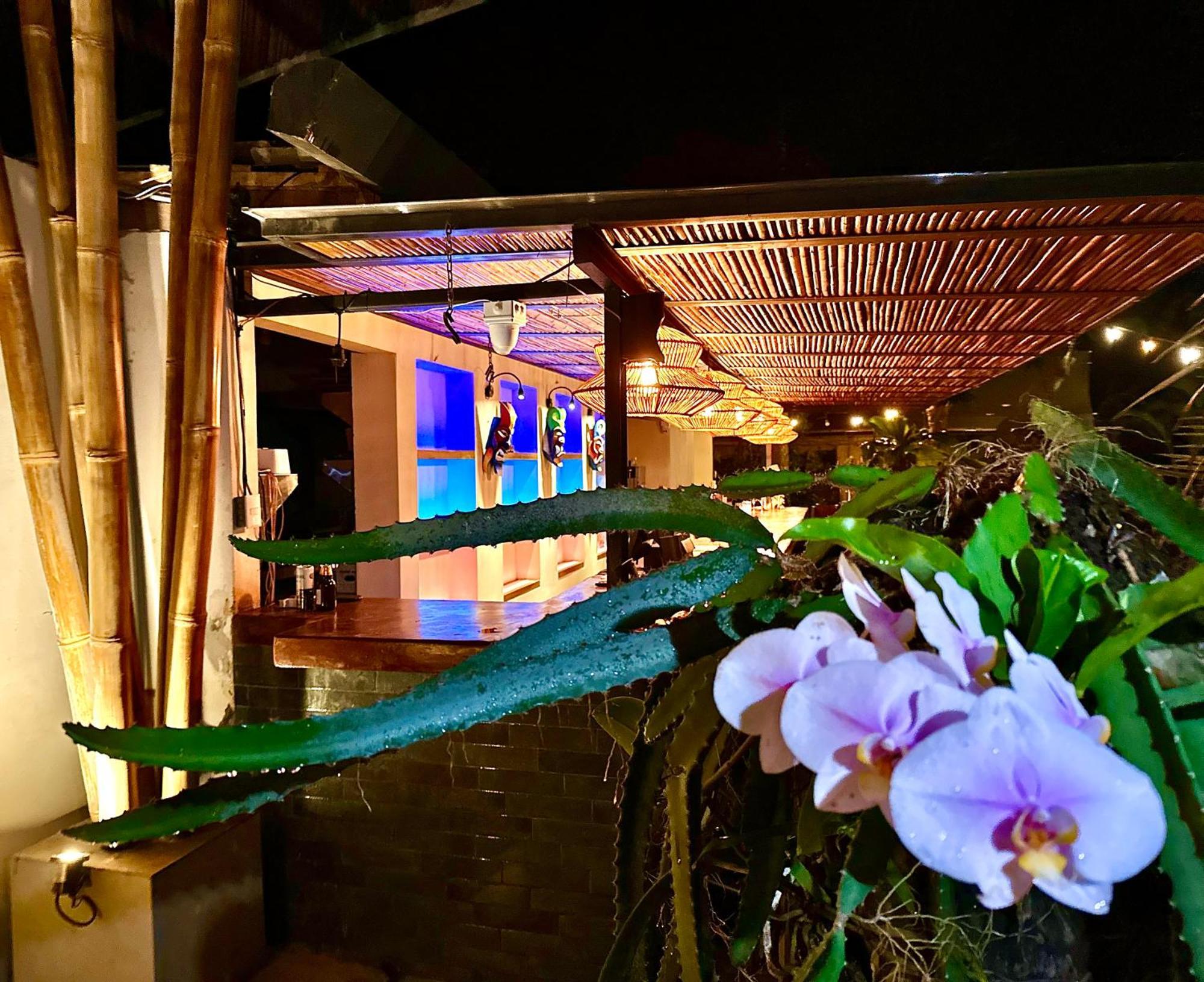Curiol Boutique Hotel & Lounge بوتريرو المظهر الخارجي الصورة