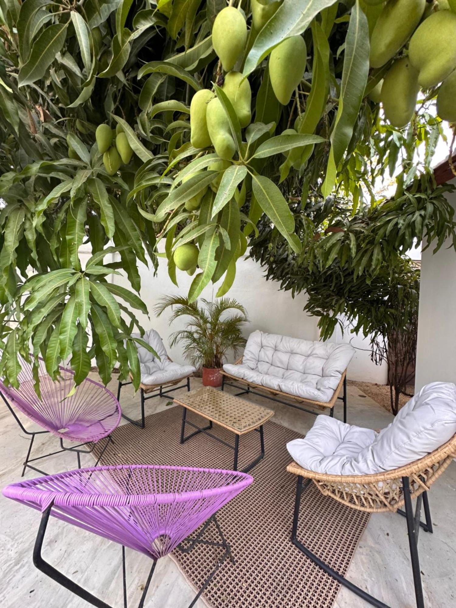 Curiol Boutique Hotel & Lounge بوتريرو المظهر الخارجي الصورة